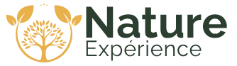 Nature Expérience – retour à l'accueil