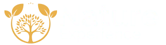 Nature Expérience – retour à l'accueil