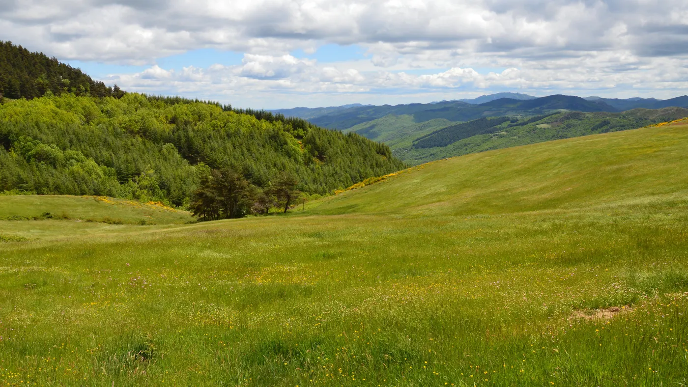 chemin de stevenson gr70 Paysage verdoyant de la Barre-des-Cévennes au printemps, avec des collines ondulantes et un ciel nuageux.