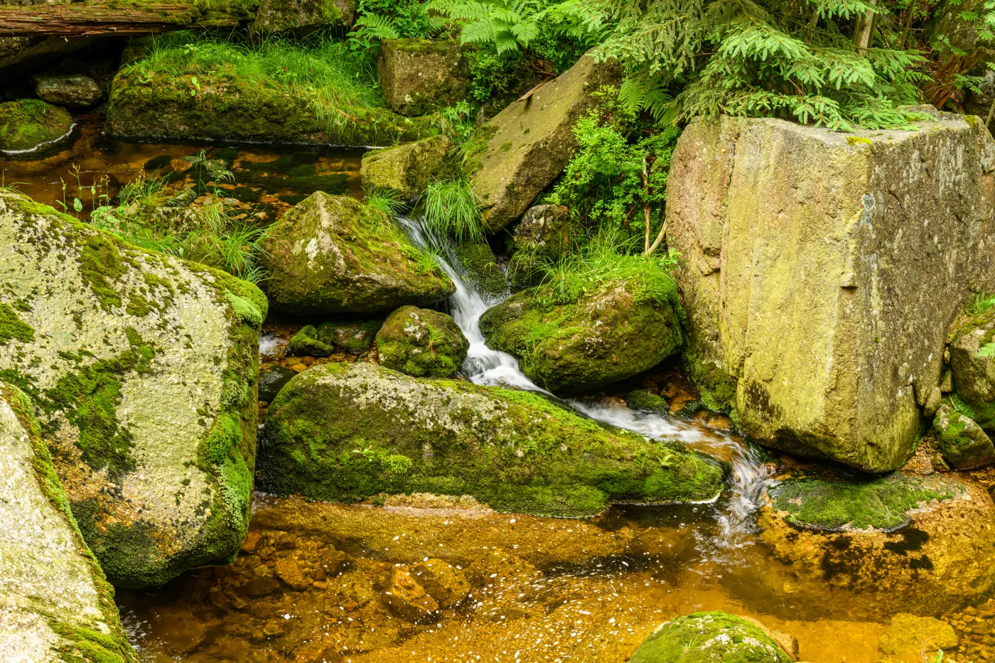 randonnee foret d huelgoat Découvrez la tranquillité dans un ruisseau forestier qui s'écoule sur des rochers moussus entourés de verdure.