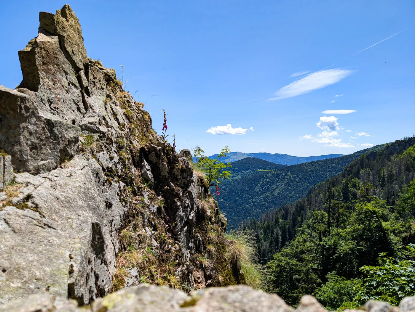 Paysages à couper le souffle des Vosges en été, dévoilant des falaises rocheuses et des forêts luxuriantes.