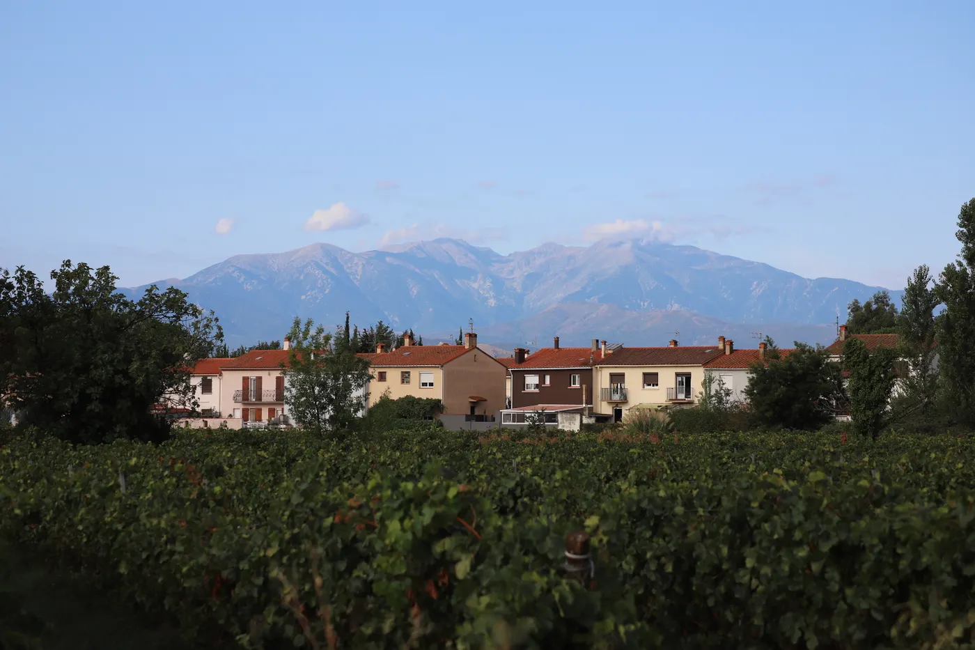 Campagne de Villeneuve-la-Rivière au pied des Pyrénées-Orientales