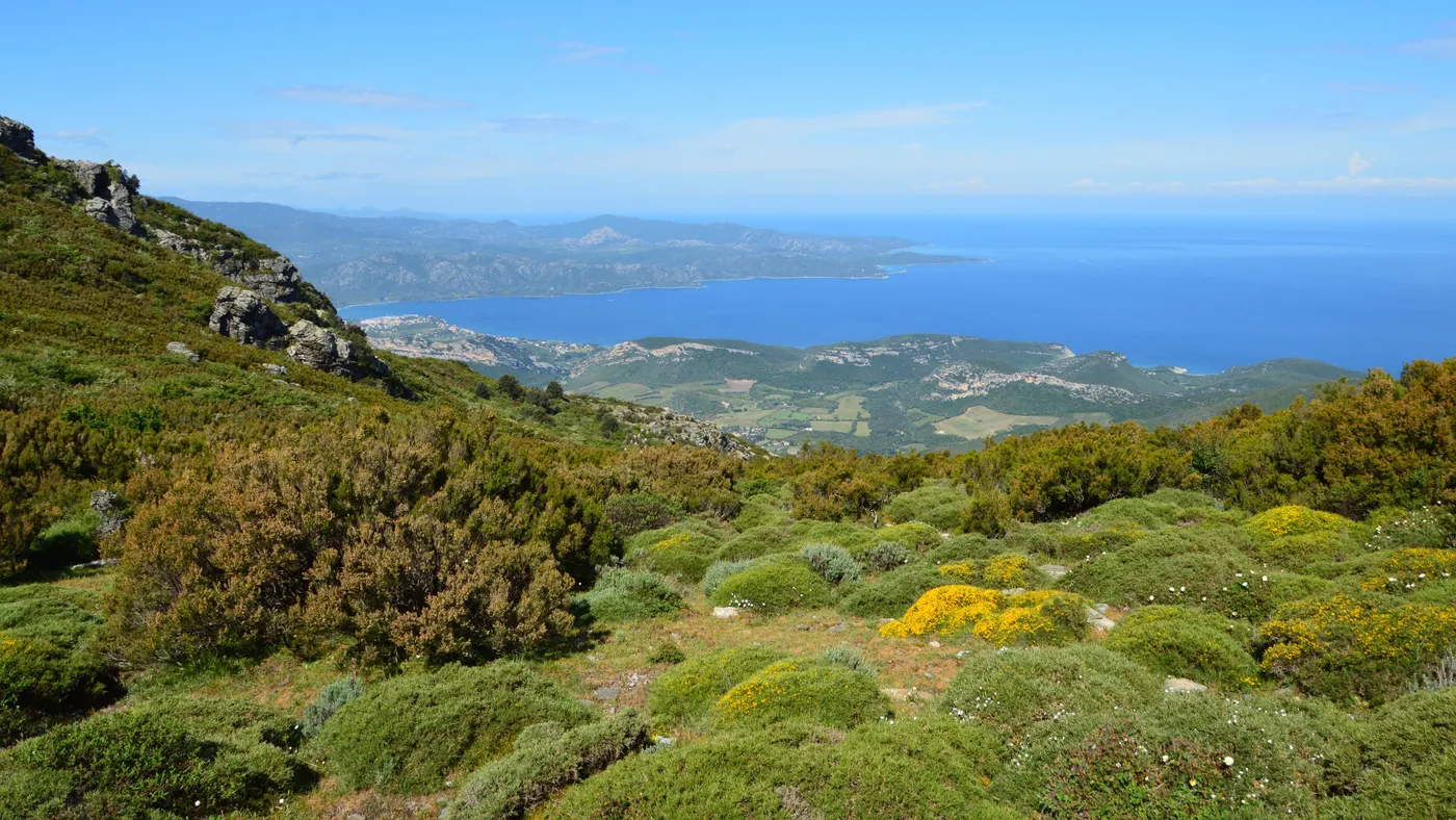 Vue imprenable sur le paysage corse avec la mer et les collines à Bastia, en France.